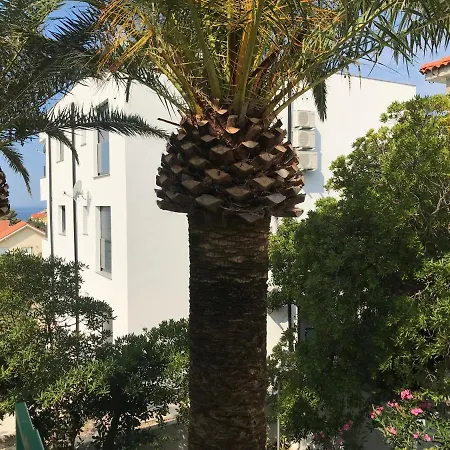 Ruza Mikelic Apartman